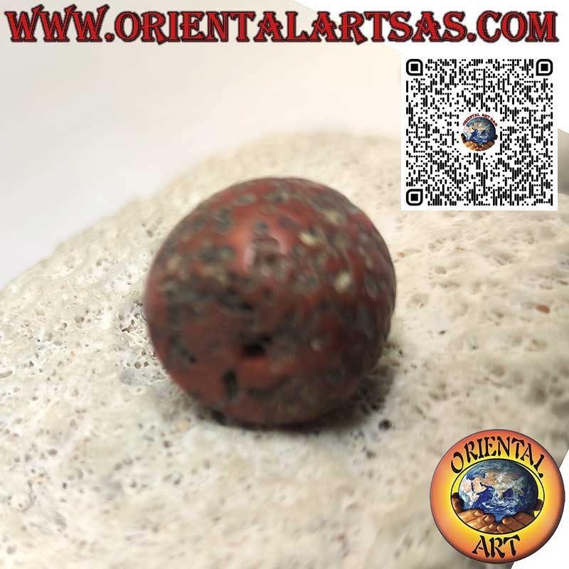 Cilindro Coral Tibetano Antiguo | Fósil Raro y Auténtico