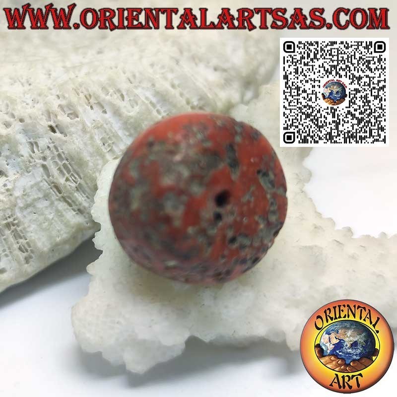 Corail Tibétain Ancien & Rare | Fossile Authentique Naturel