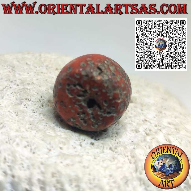 Cilindro Coral Tibetano Antiguo | Fósil Raro y Auténtico