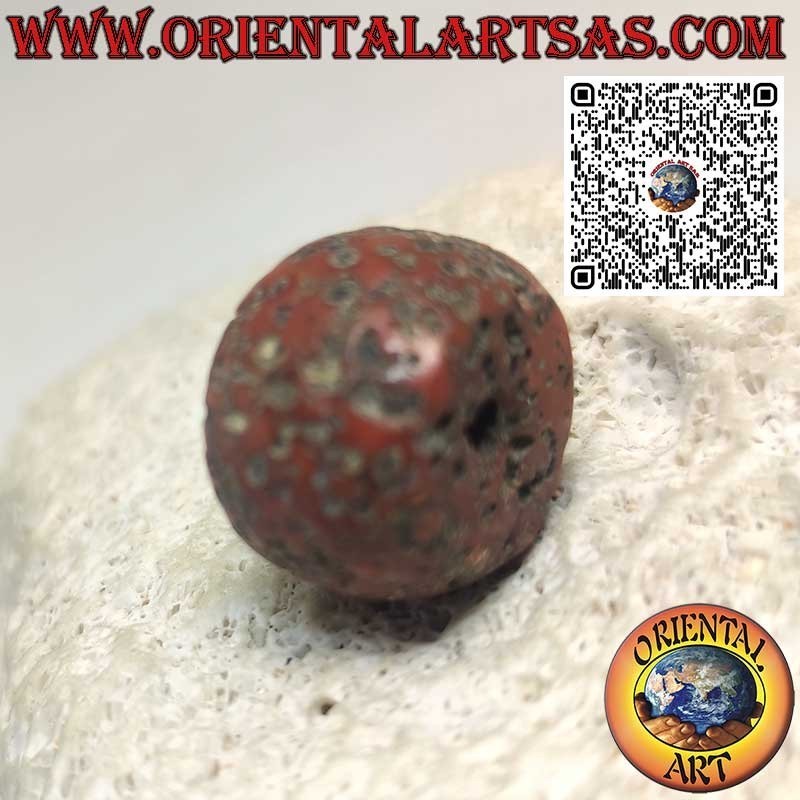 Tibetischer Antiker Natur-Korallenzylinder Fossil | Oriental Art