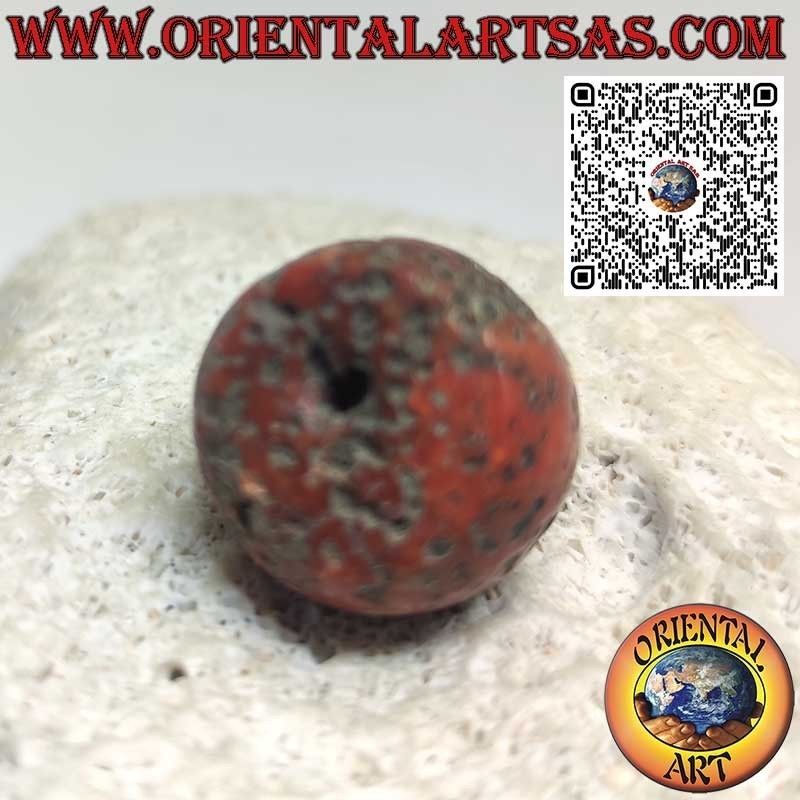 Cilindro Coral Tibetano Antiguo | Fósil Raro y Auténtico