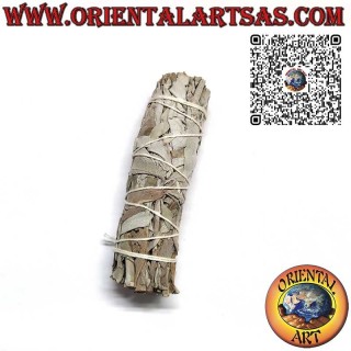 Shamanic Incense – California White Sage Smudge, 30 g, 11×3 cm