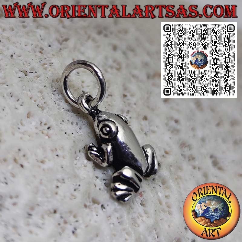 Colgante de plata de ley 925 – Pequeña rana/sapo liso, amuleto de la suerte y símbolo de transformación