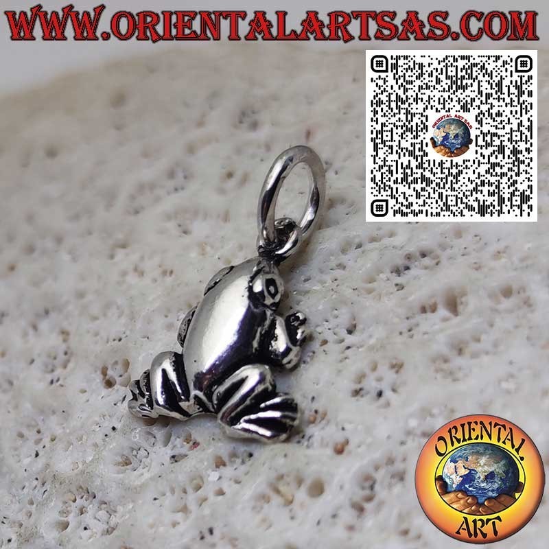 Colgante de plata de ley 925 – Pequeña rana/sapo liso, amuleto de la suerte y símbolo de transformación