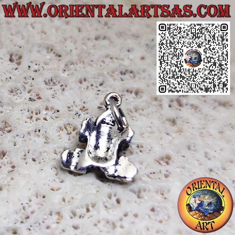 Colgante de plata de ley 925 – Pequeña rana/sapo liso, amuleto de la suerte y símbolo de transformación