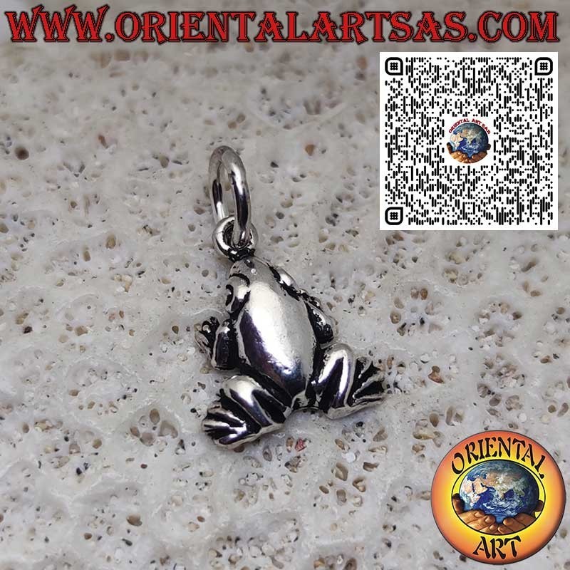925er Silberanhänger – Kleine glatte Frosch-/Krötenfigur, Glücksbringer und Symbol der