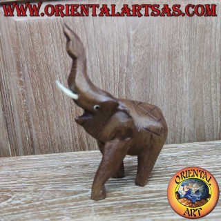 Sculpture d'éléphant – Bois de teck – Trompe levée – Défenses saillantes – Hauteur 15 cm – Longueur 10 cm – Fait main