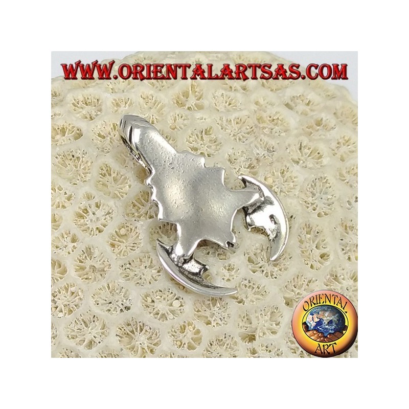 Ciondolo Scorpione Argento 925 - Talismano Zodiaco - Potenza
